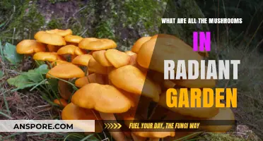 Exploring Radiant Garden's Mushroom Varieties: A Comprehensive Guide