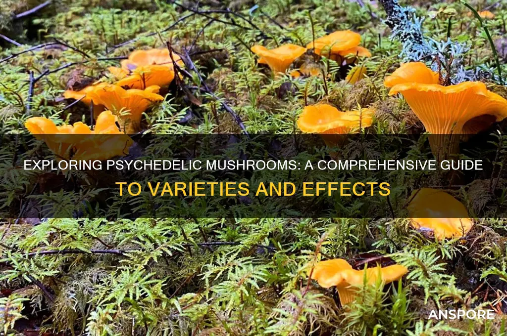 what are all the psychedelic mushrooms