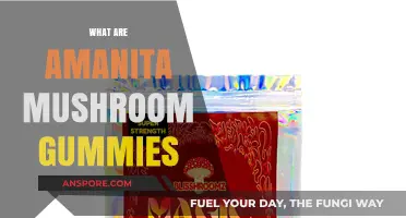 Amanita Mushroom Gummies: A Natural Health Boost
