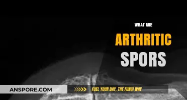 Understanding Arthritic Spurs: Causes, Symptoms, and Treatment Options