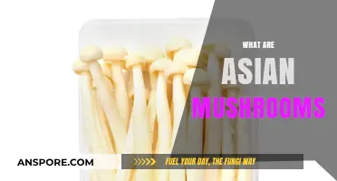 Explore the World of Asian Mushrooms