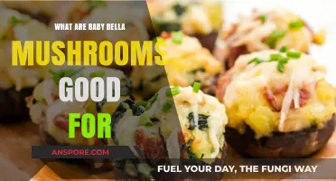 Baby Bella Mushrooms: Nutritional Benefits and Culinary Uses Explained