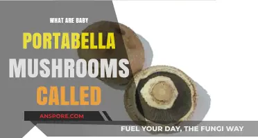 What Are Baby Portabella Mushrooms Called? A Simple Guide