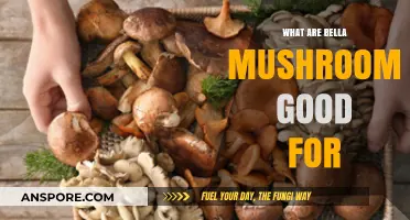 Bella Mushrooms Benefits: Nutrition, Health Uses, and Culinary Tips