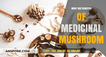 Unlocking Nature's Healing Power: Medicinal Mushrooms' Surprising Health Benefits