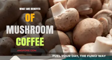 Boost Energy and Focus: Discover Mushroom Coffee's Surprising Benefits