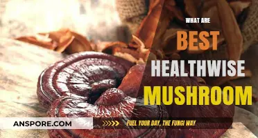 Mushrooms for Wellness: Nature's Superfood