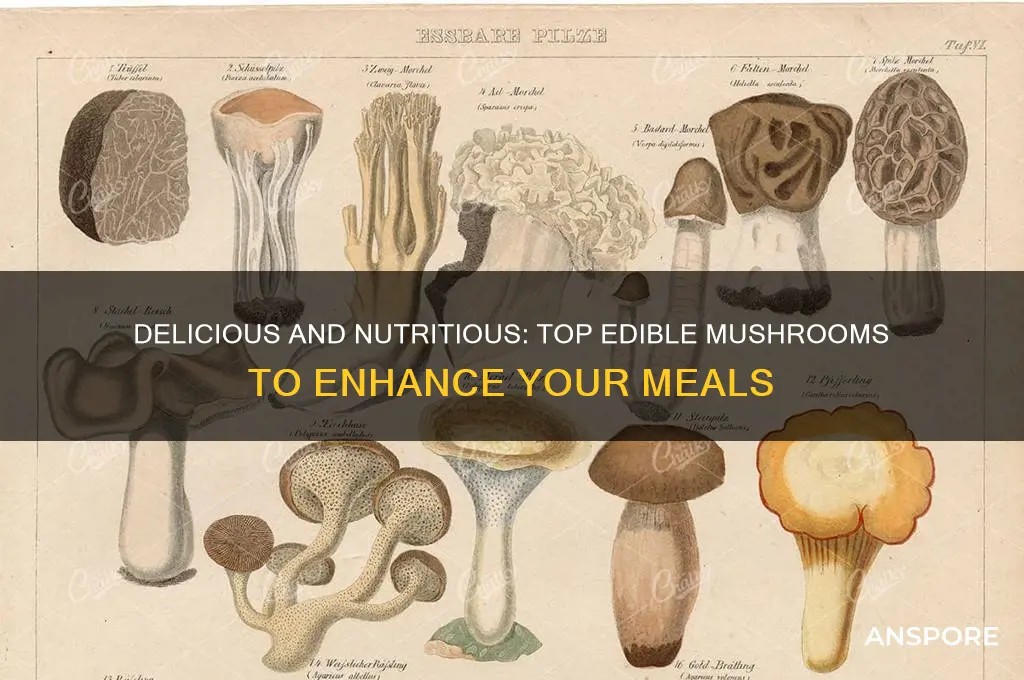 what are best mushrooms to eat