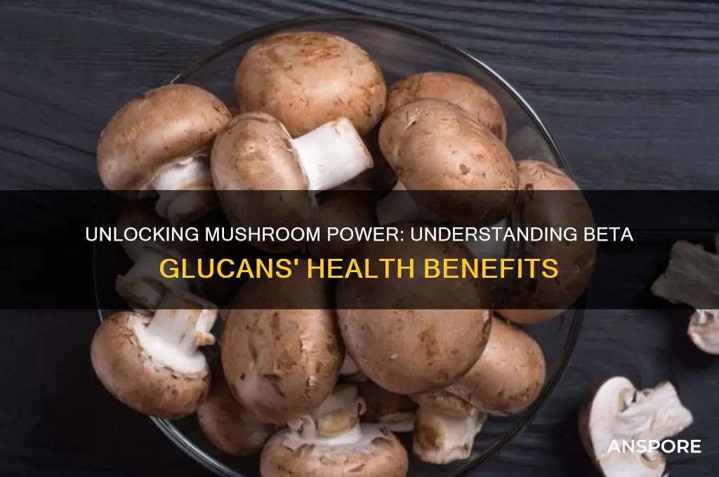 what are beta glucans in mushrooms