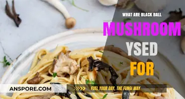 Black Ball Mushrooms: Culinary Uses, Health Benefits, and Cultural Significance