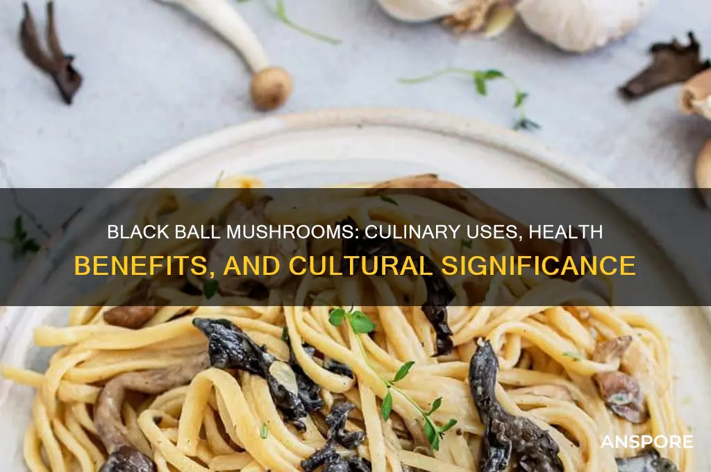 what are black ball mushrooms ysed for