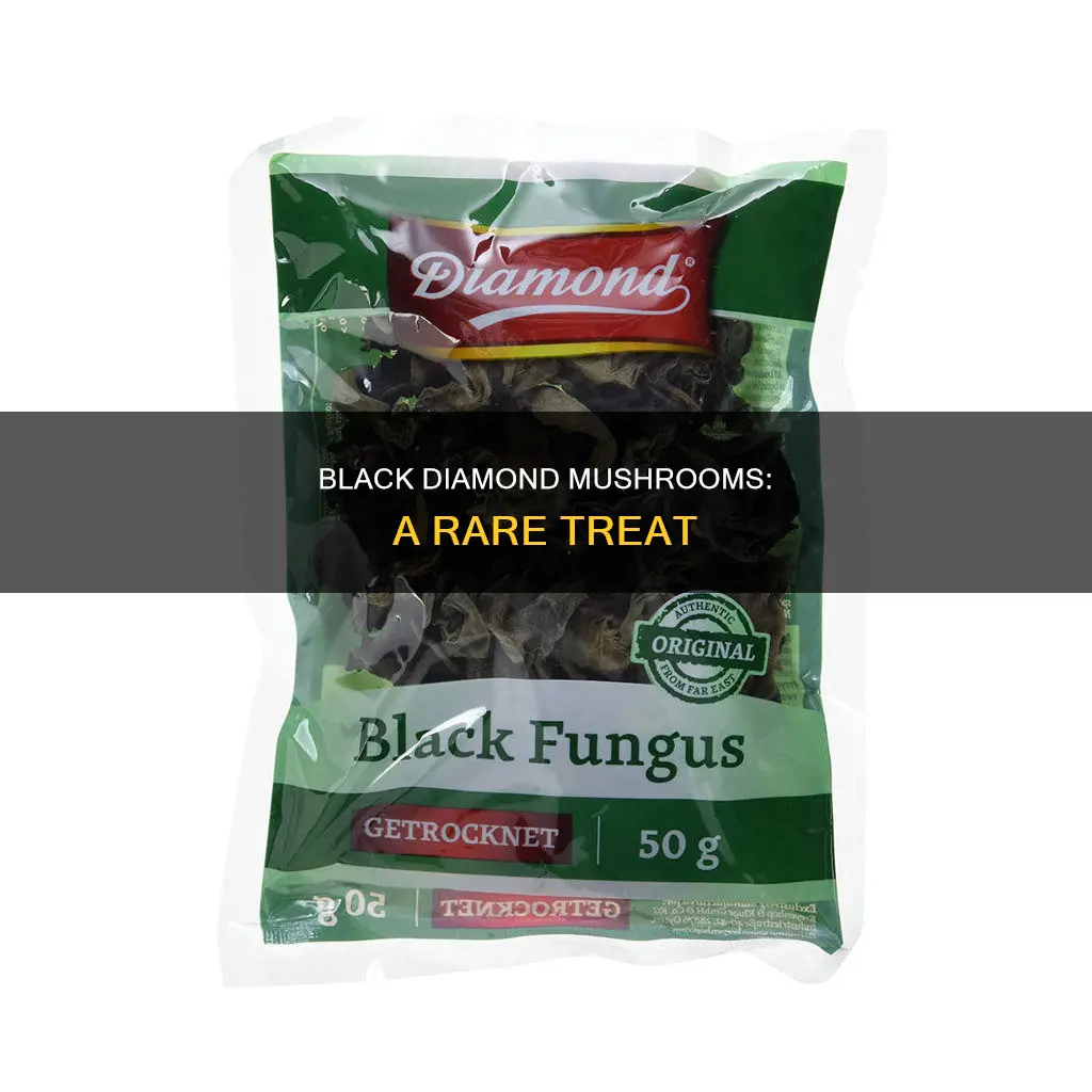 what are black diamond mushrooms