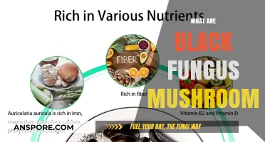 Black Fungus Mushrooms: Nature's Dark, Healthy Secret
