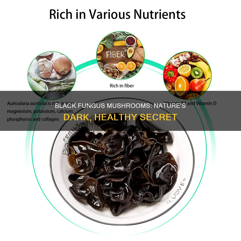 what are black fungus mushrooms