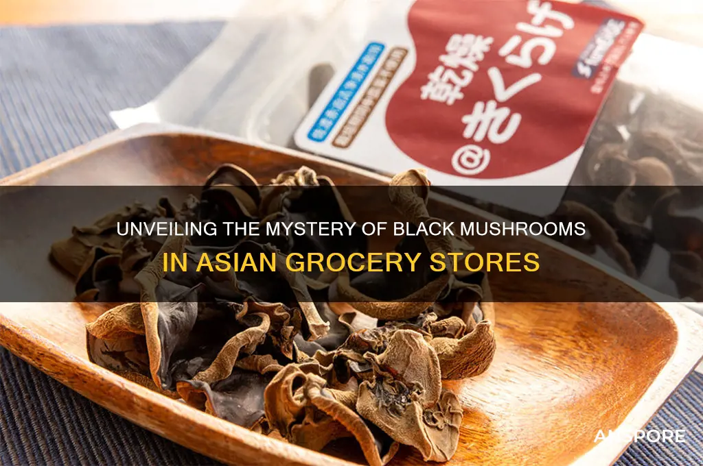 what are black mushrooms in asian grocery