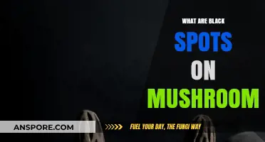 Understanding Black Spots on Mushrooms: Causes, Safety, and Identification Tips