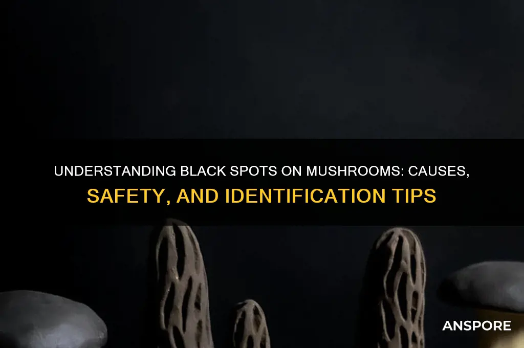 what are black spots on mushrooms