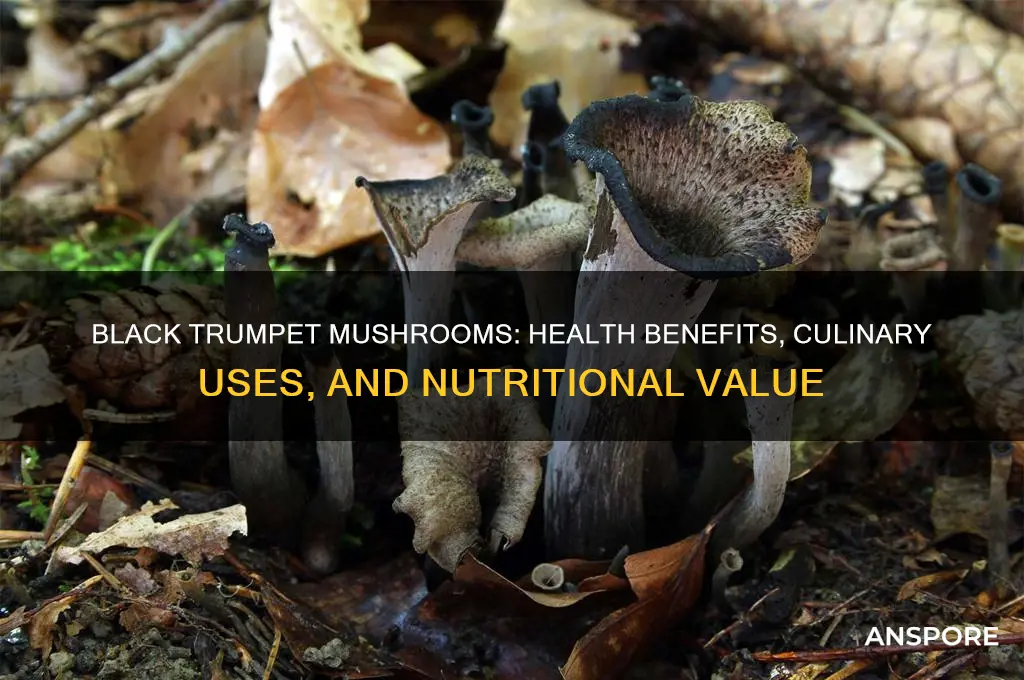 what are black trumpet mushrooms good for