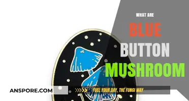 Mushroom Magic: Blue Button Superpowers