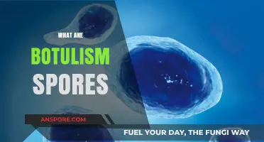 Understanding Botulism Spores: Causes, Risks, and Prevention Strategies