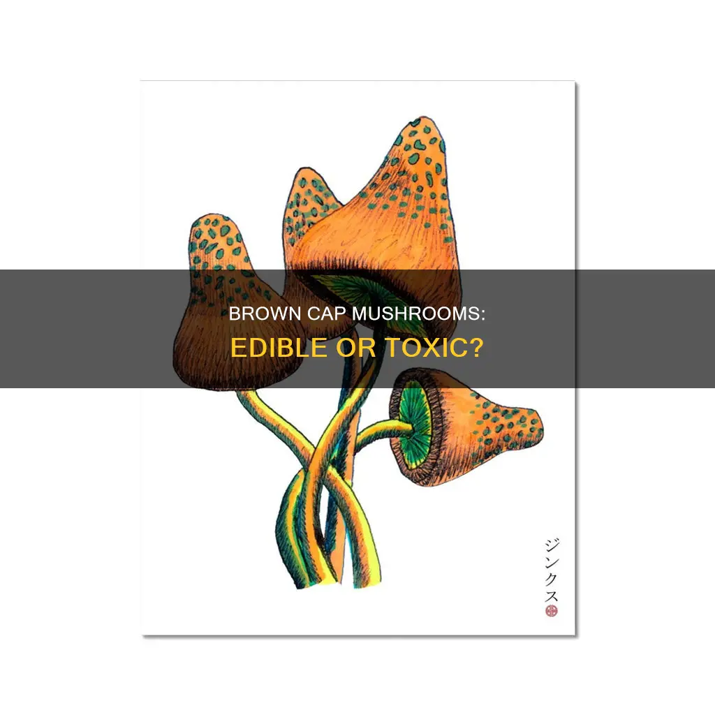 what are brown cap mushrooms