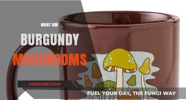 Burgundy Mushrooms: Nature's Culinary Delight