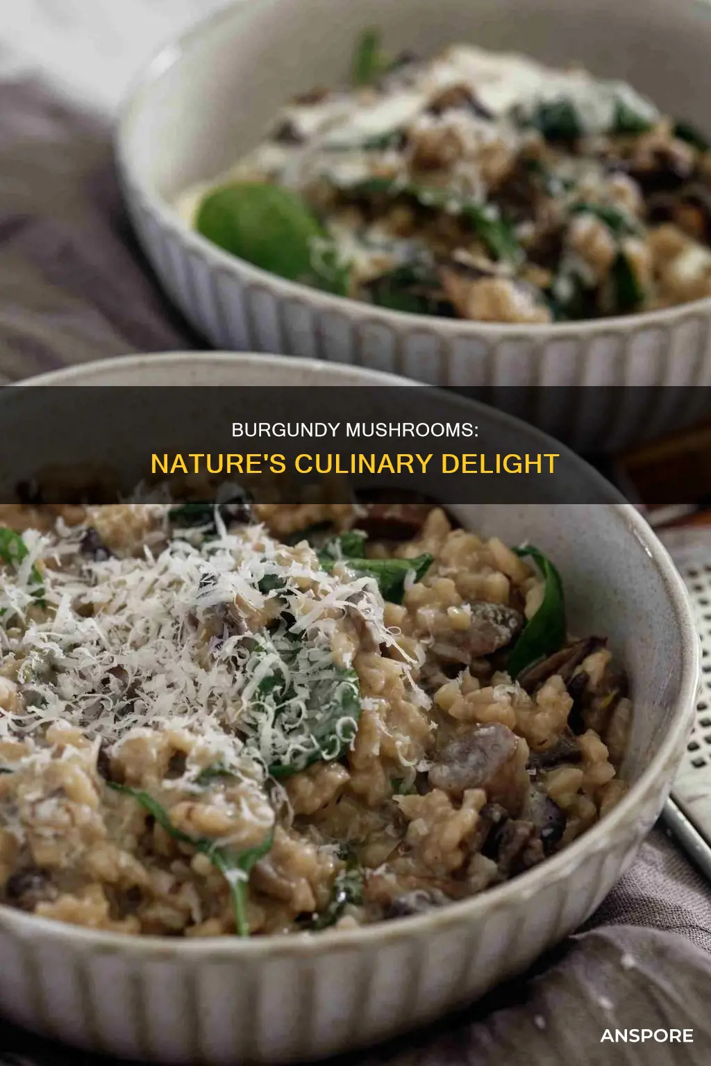 what are burgundy mushrooms