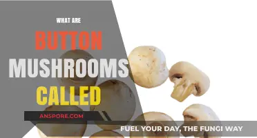 Button Mushrooms: What's in a Name?