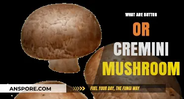 Button vs. Cremini Mushrooms: Unveiling the Differences and Culinary Uses