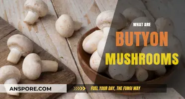 Button Mushrooms: A Tasty Treat