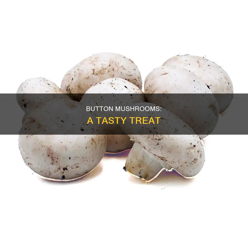 what are butyon mushrooms