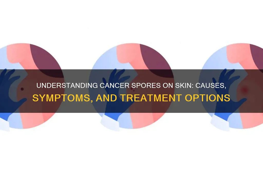 what are cancer spores on skin