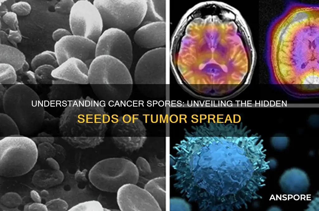 what are cancer spores