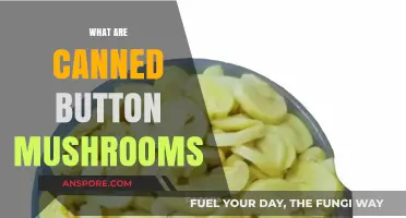 Exploring Canned Button Mushrooms: Uses, Benefits, and Culinary Versatility