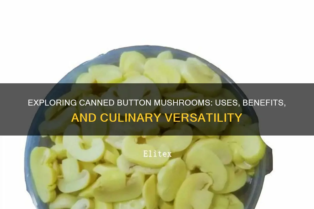 what are canned button mushrooms