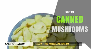 Exploring Canned Mushrooms: Convenience, Uses, and Nutritional Benefits