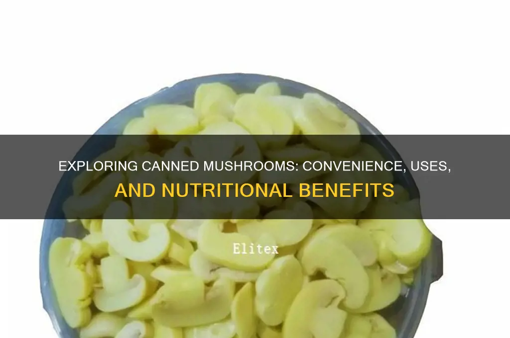 what are canned mushrooms
