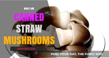 Discovering Canned Straw Mushrooms: Uses, Benefits, and Culinary Tips