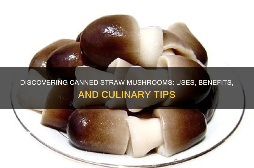 what are canned straw mushrooms