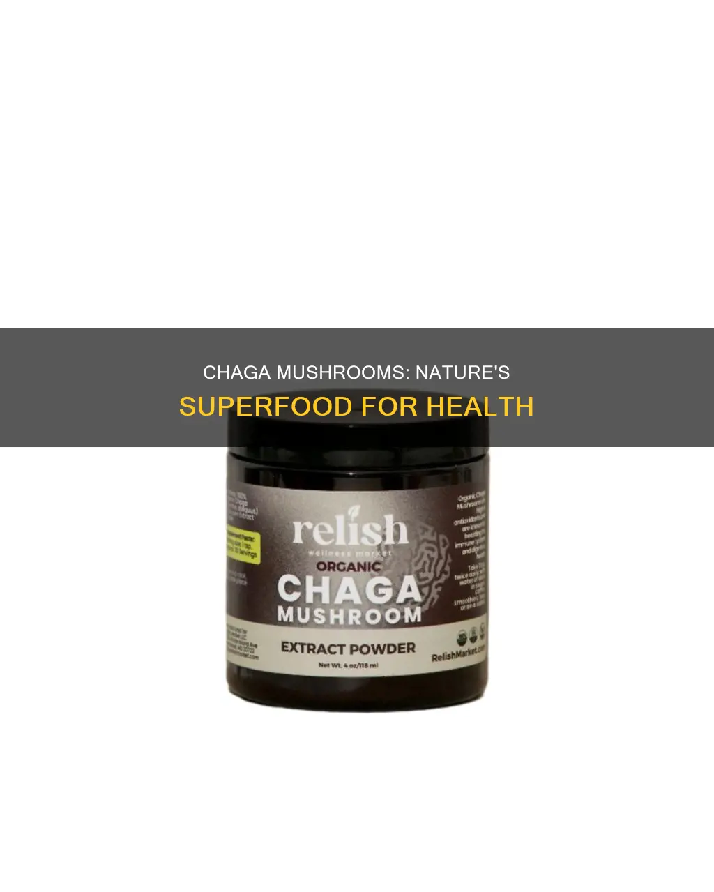 what are chaga mushroom benefits