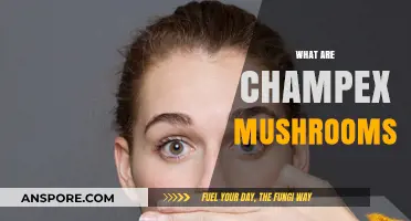 Champex Mushrooms: Nature's Superfood