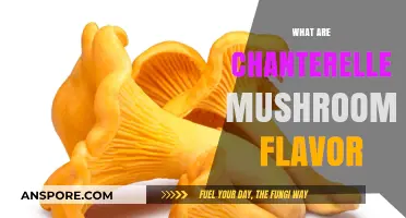 The Distinct Flavor of Chanterelle Mushrooms
