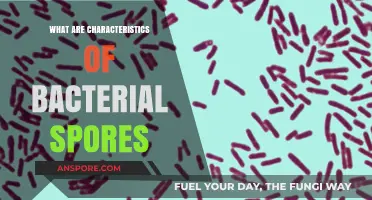 Unveiling the Unique Characteristics of Bacterial Spores: A Comprehensive Guide