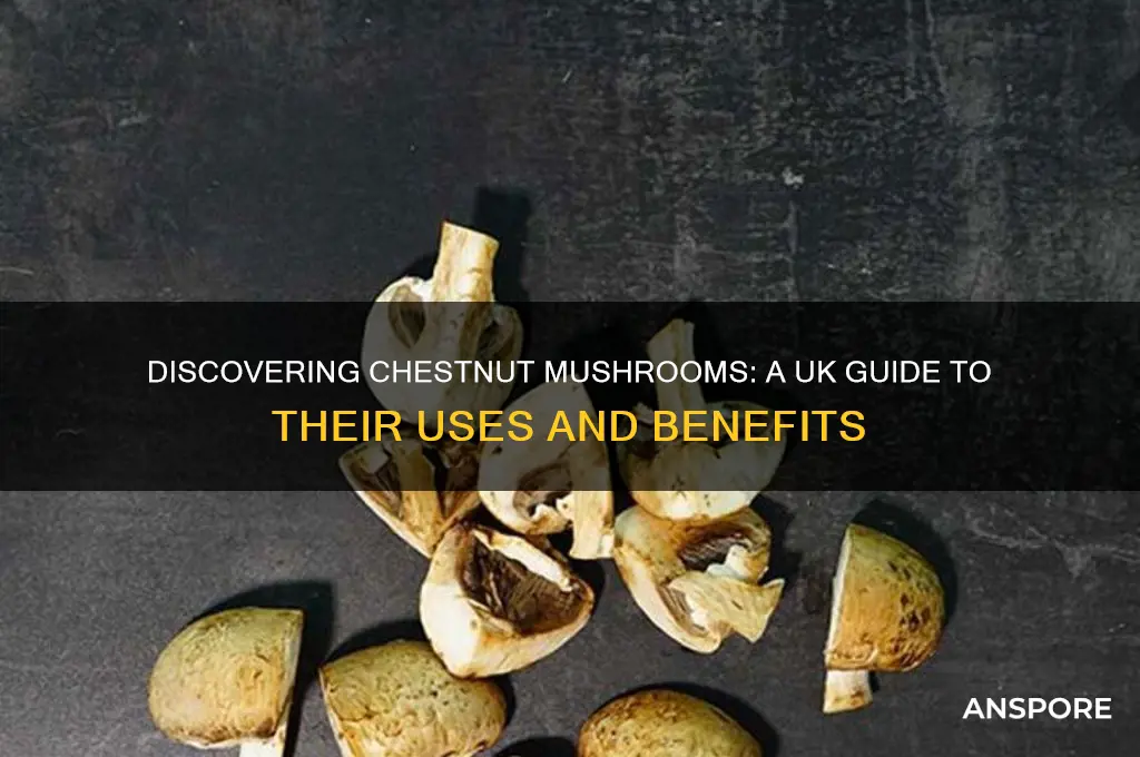 what are chestnut mushrooms in the uk
