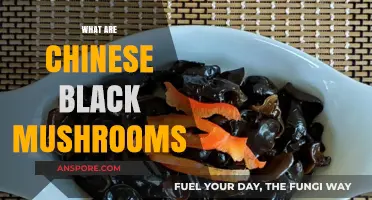 Black Chinese Mushrooms: A Culinary Delight