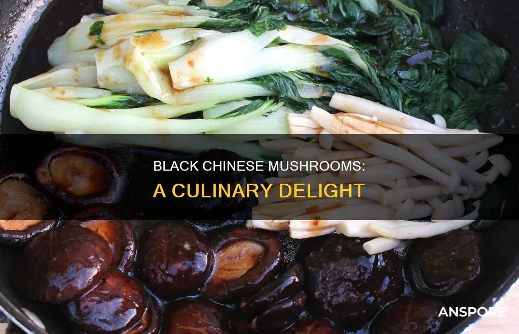 what are chinese black mushrooms