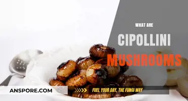 Cipollini Mushrooms: What Are They?
