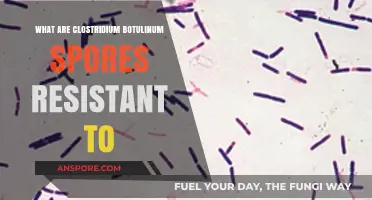 Clostridium Botulinum Spores: Unraveling Their Resistance to Extreme Conditions