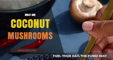 Coconut Mushrooms: A Tropical Treat