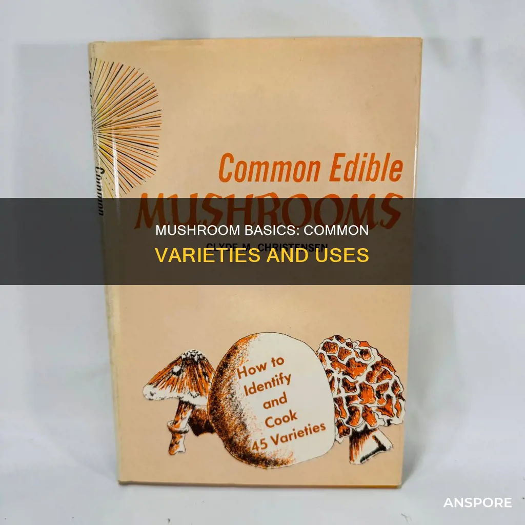 what are common mushrooms